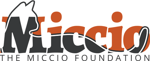 The Miccio Foundation